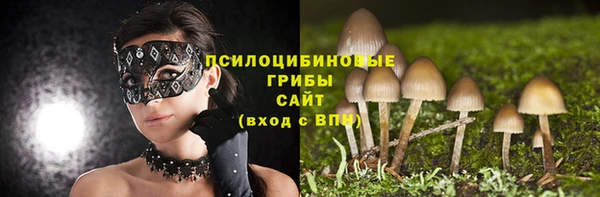 ECSTASY Абаза