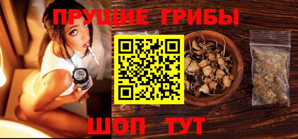 Псилоцибиновые грибы Psilocybe Элиста