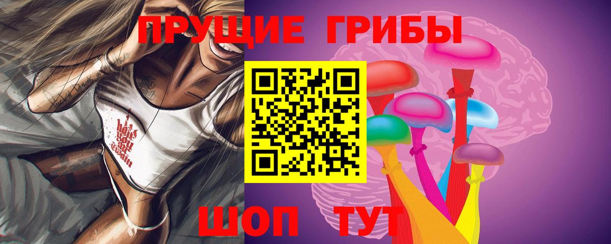 где можно купить   Вход с VPN  Элиста  Галлюциногенные грибы мухоморы 